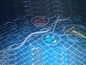 Un marché en pleine expansion