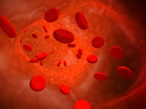 Hémochromatose génétique, allons-nous faire dépister cette semaine !