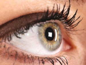 Ophtalmologiste, orthoptiste, opticien-lunetier, qui fait quoi ?