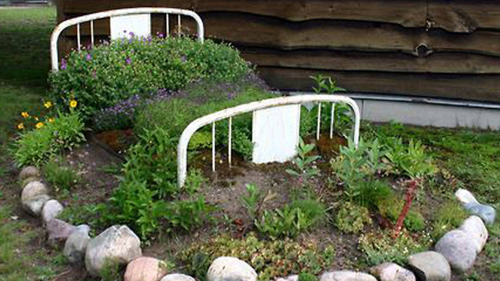 jardiner à l'hôpital-hortithérapie-soins pédopsychiatres