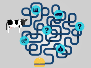 Journée mondiale de la santé : la sécurité sanitaire des aliments au menu