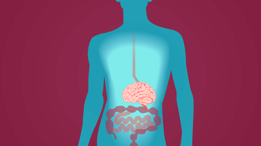 Des neurones dans l'intestin