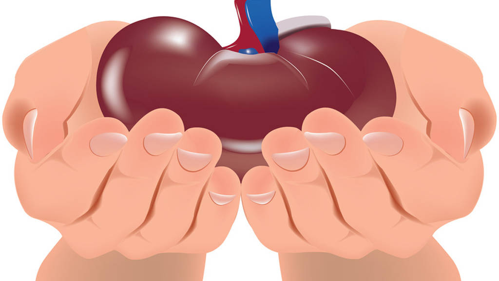 Dons d'organes et greffes