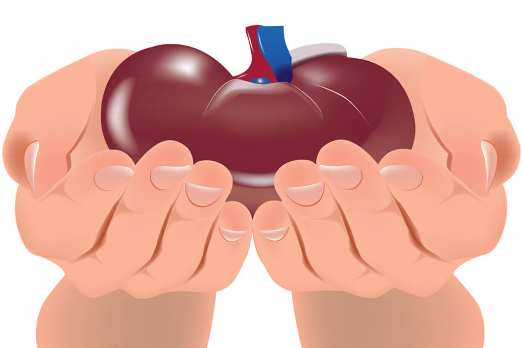 Dons d'organes et greffes