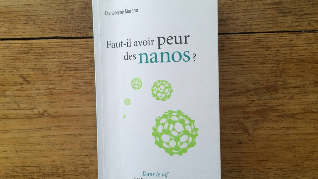 Faut-il avoir peur des nanos