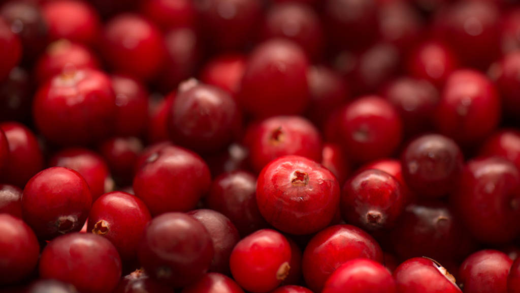 La canneberge (ou cranberry) inefficace contre les infections urinaires