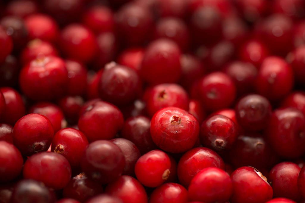 La canneberge (ou cranberry) inefficace contre les infections urinaires