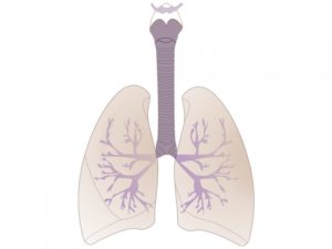 Alimentation, activités physiques et insuffisance respiratoire