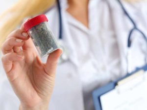 Cannabis thérapeutique : les pouvoirs publics invités à se positionner