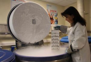 66 Millions d&rsquo;Impatients en visite à Généthon !