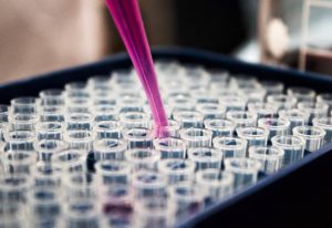 Le regard des associations de patients sur les thérapies innovantes