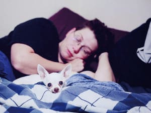 Les malades psychiques et leurs proches face au COVID-19