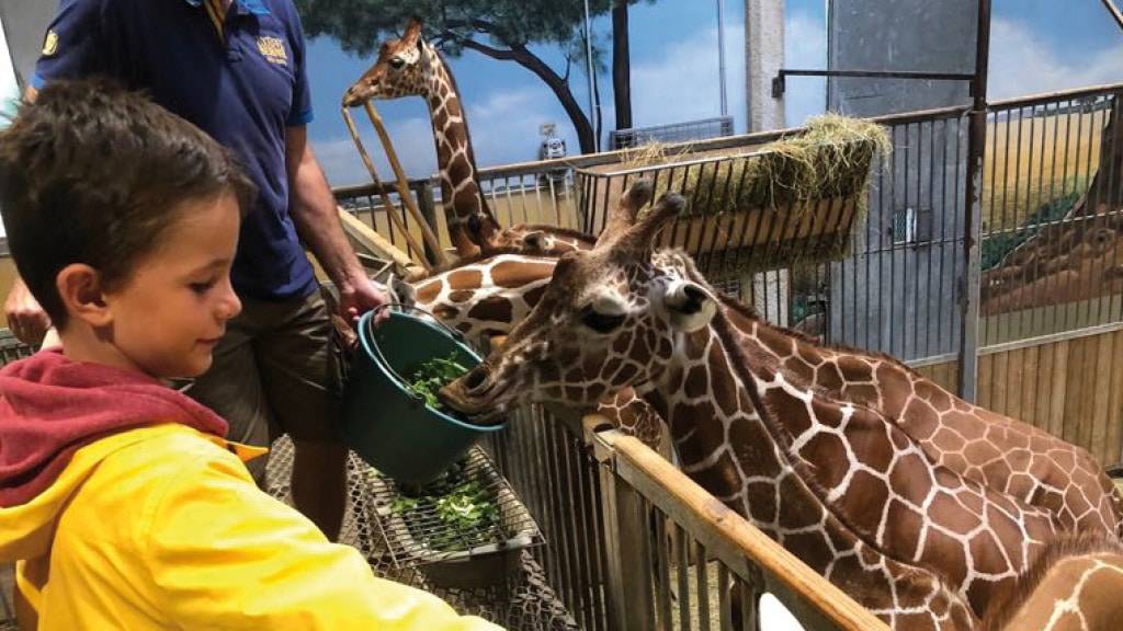 La Ligue contre le cancer r&eacute;alise les r&ecirc;ves d'enfants malades