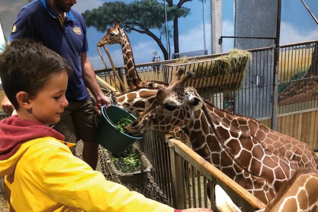La Ligue contre le cancer réalise les rêves d'enfants malades