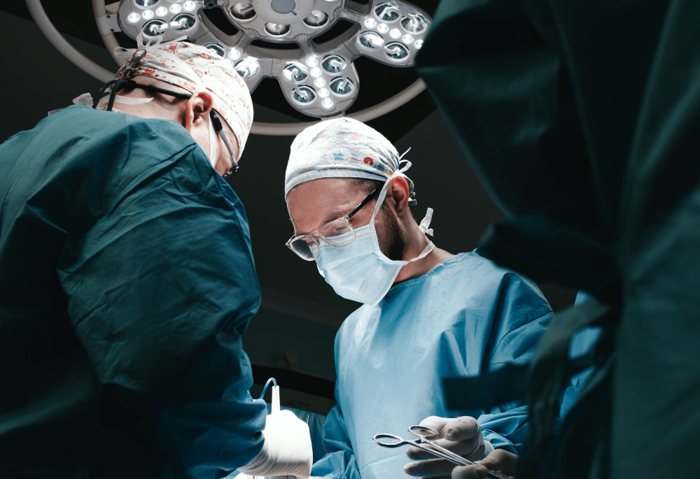 La greffe de tissus, une activité en plein essor à structurer